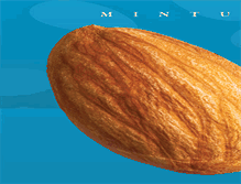 Tablet Screenshot of minturnnut.com